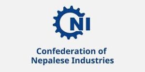 CNI Logo